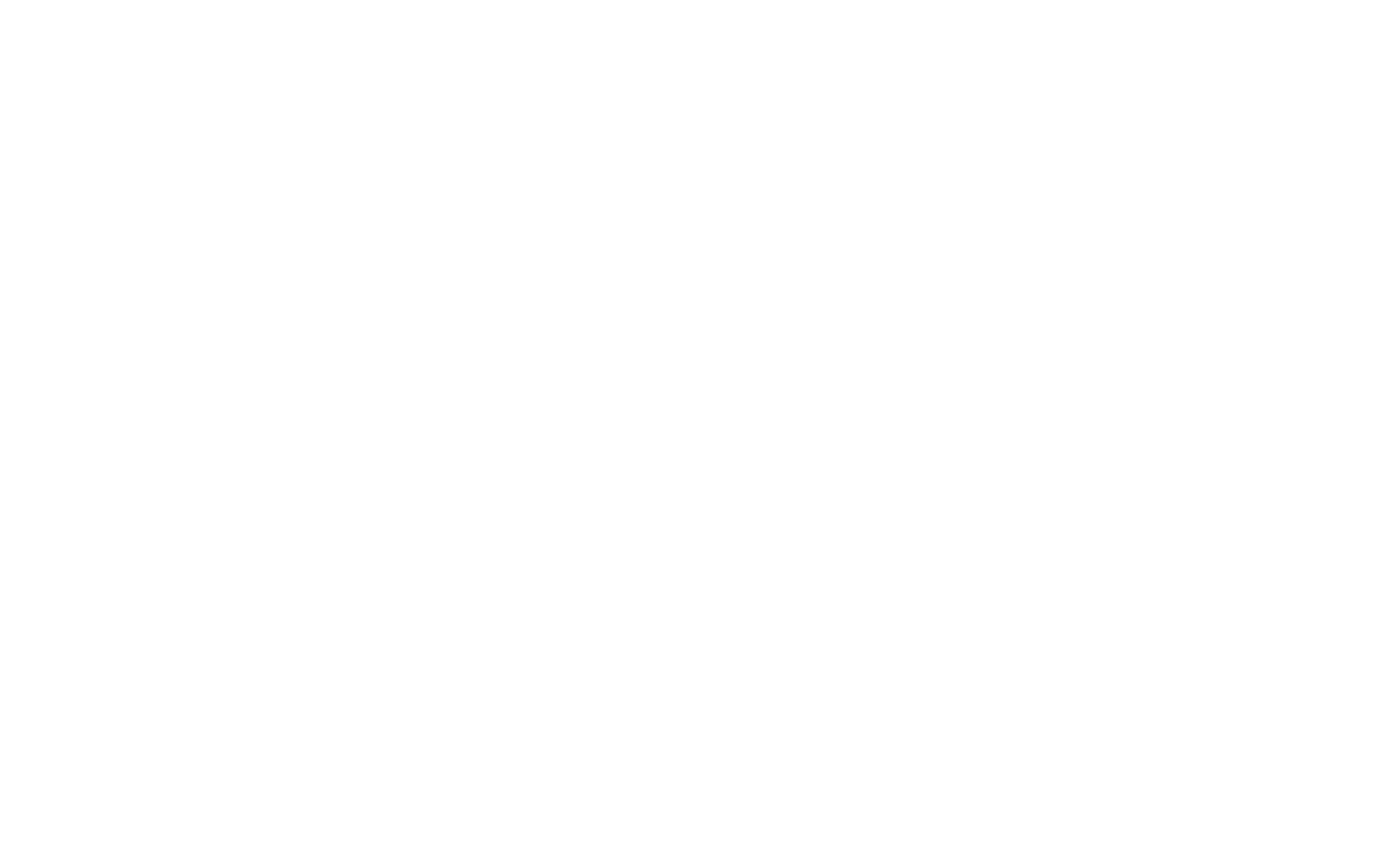DN Logo